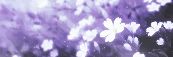 E. banner