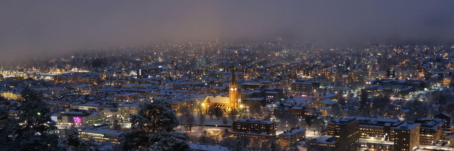 RonjaAnderssonWestén banner