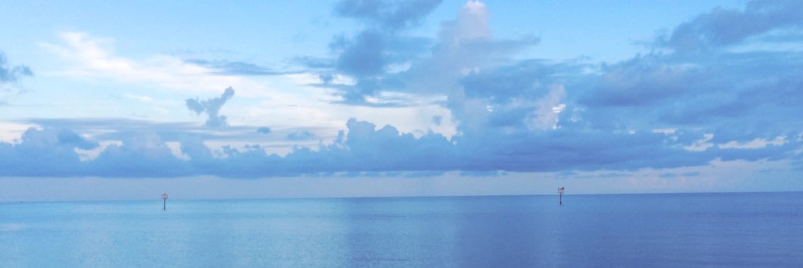 nickyy_dann's profile banner image