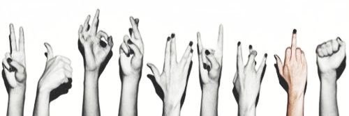 crizel banner