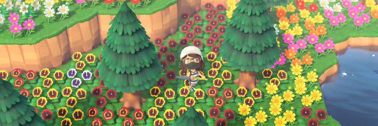 meowregui's profile banner image