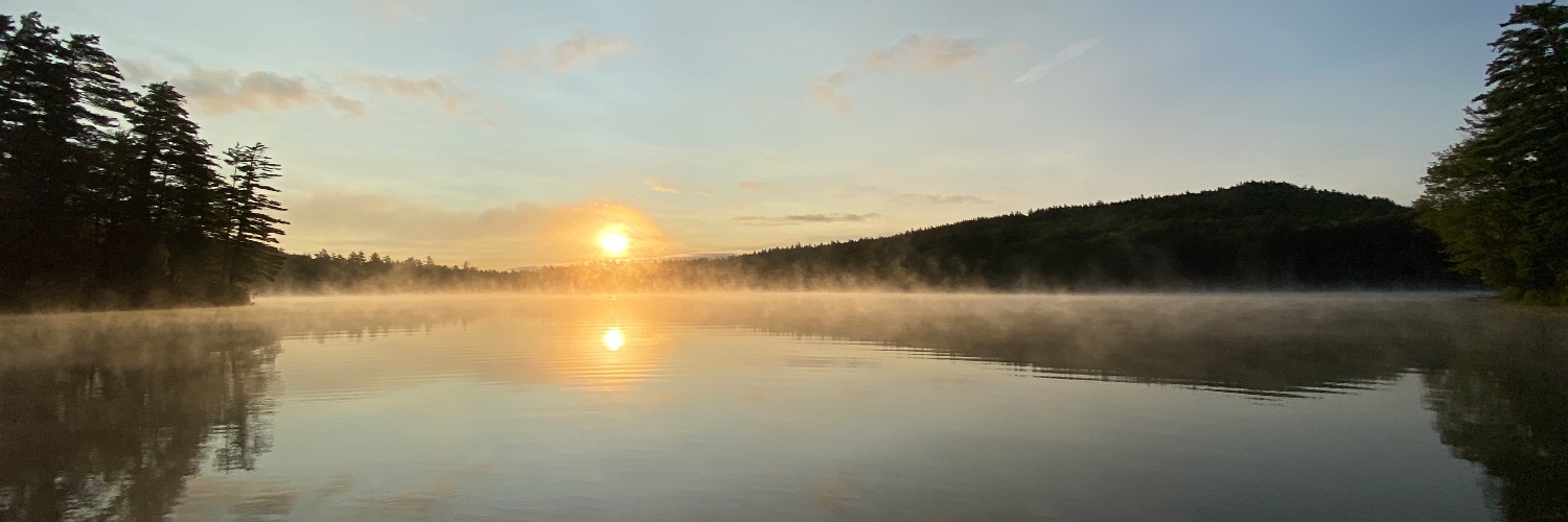 Jonathan Bortinger banner