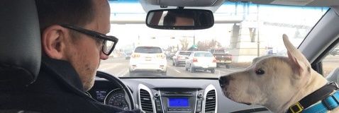 GloriousBadGuy's profile banner image