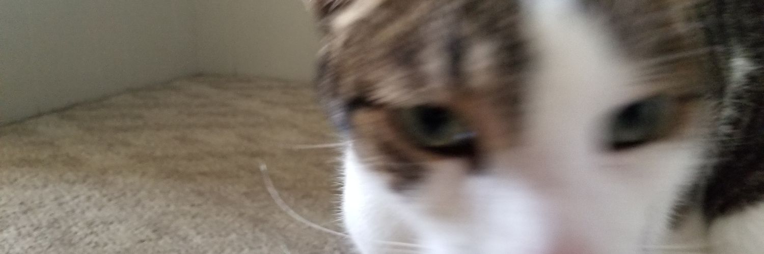 TylerKingEsq's profile banner image