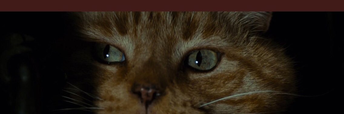 jeromed1957's profile banner image
