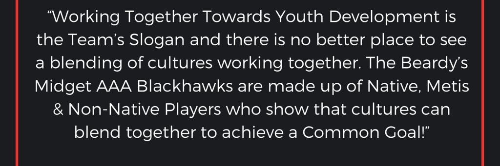 Beardy's AAA Blackhawks banner