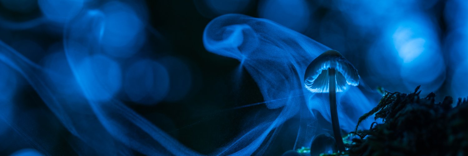 Captures by Amanda banner