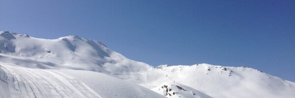 AnneSalinger Profile Banner