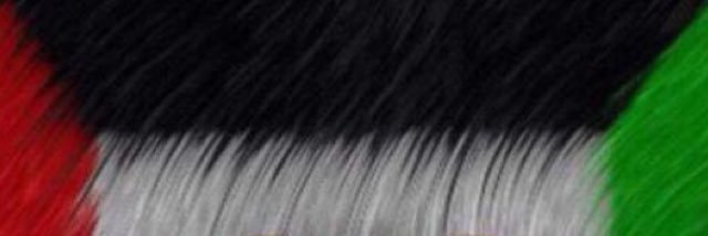 3esa_q's profile banner image