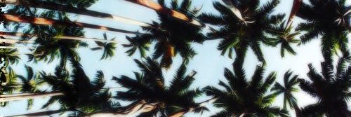 BLESH23's profile banner image