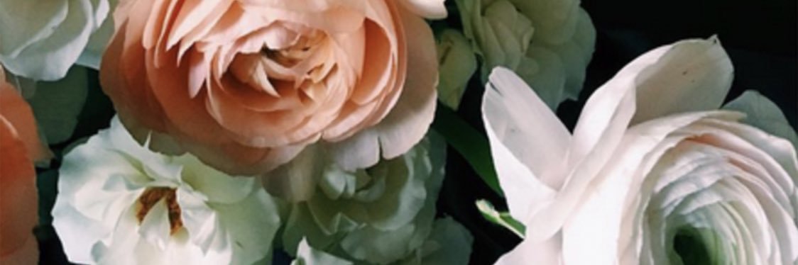 BabyPlummms's profile banner image