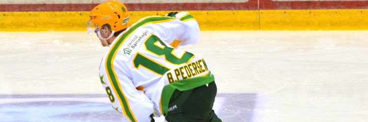 Markus B. Pedersen banner