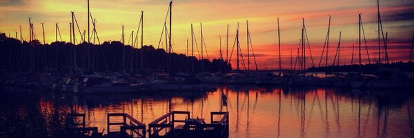 MarcusEriksson9 Profile Banner