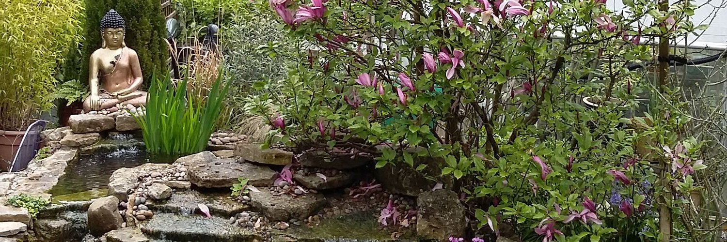 MastrYourHealth's profile banner image