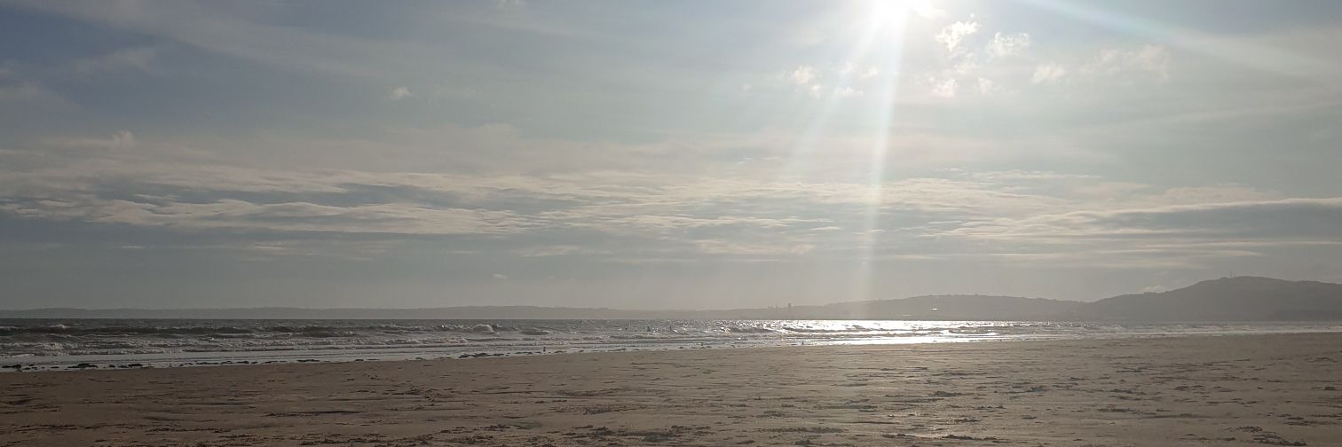 alicecn_'s profile banner image