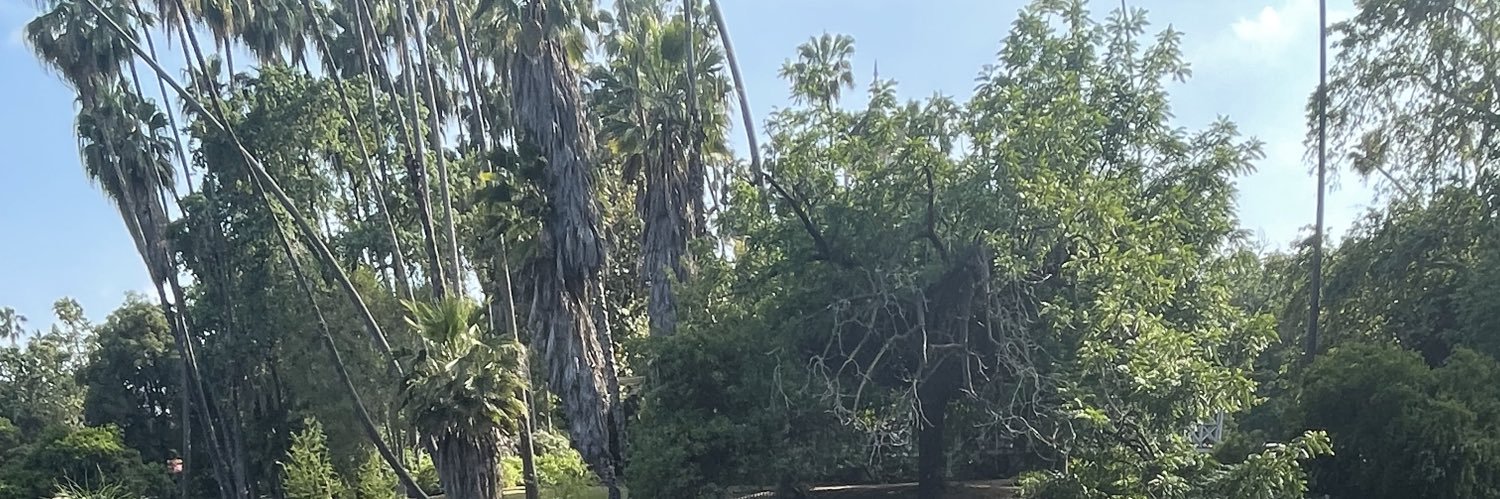 SinnDeee's profile banner image