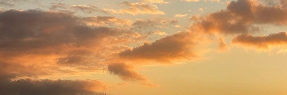 TobiaBiondo's profile banner image