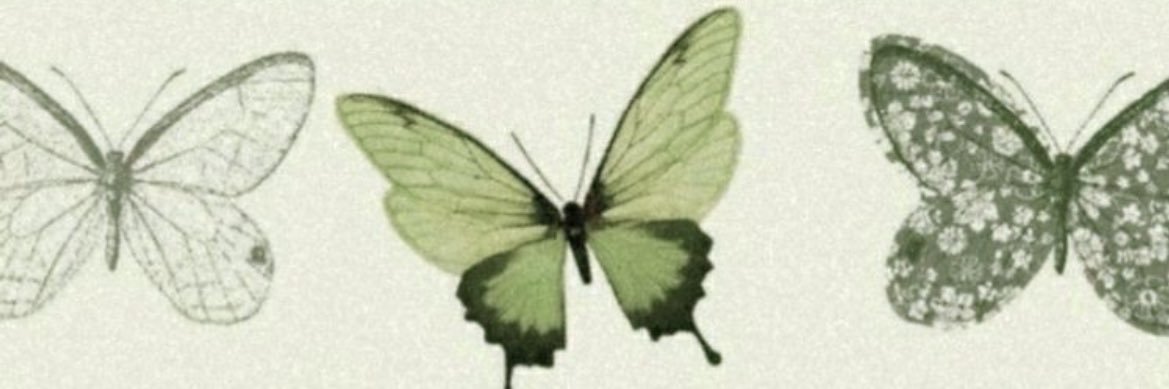 damhailee's profile banner image