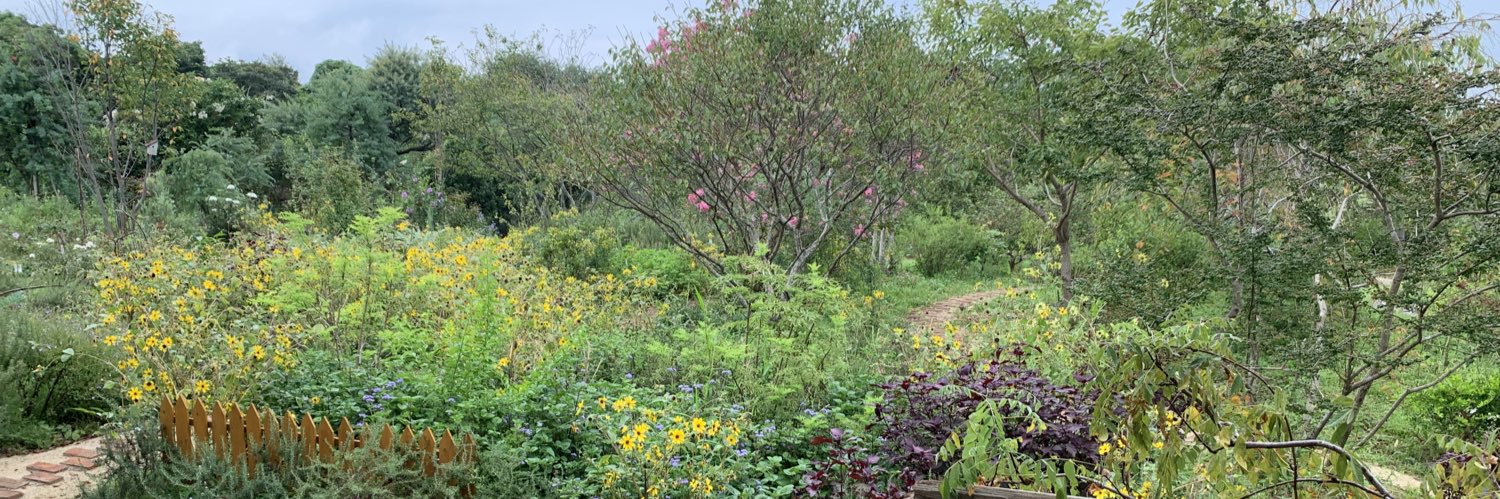 青井はな🎪 banner