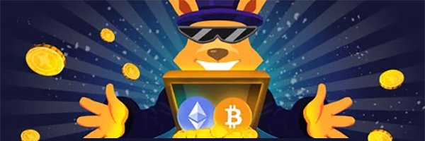 roobet_code's profile banner image