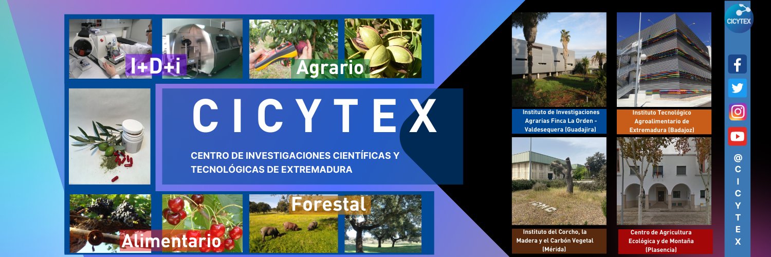 CICYTEX's banner