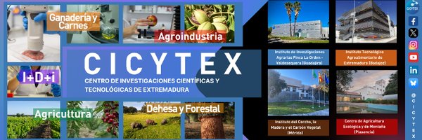 CICYTEX Profile Banner