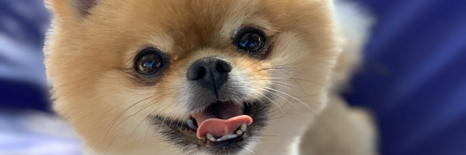 sehermiii's profile banner image