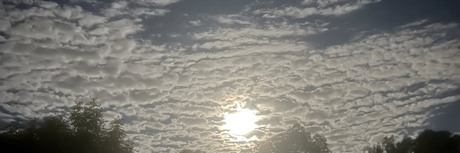 Michaela_schoey's profile banner image