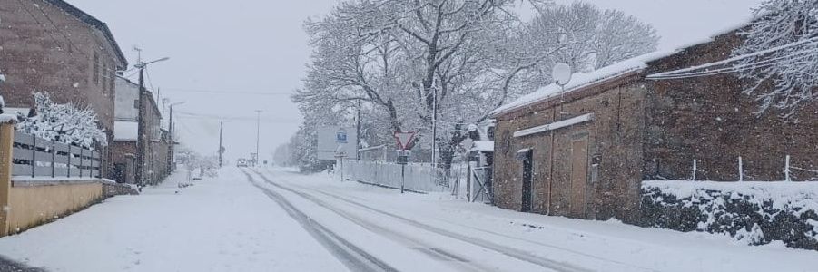 Pablo Estévez banner