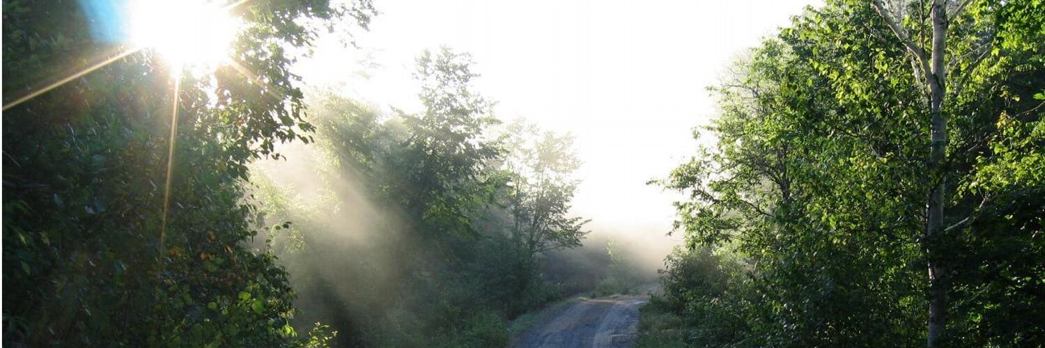 Martin Kamquat (Yancha Bouzu) 🇨🇦 👹 banner