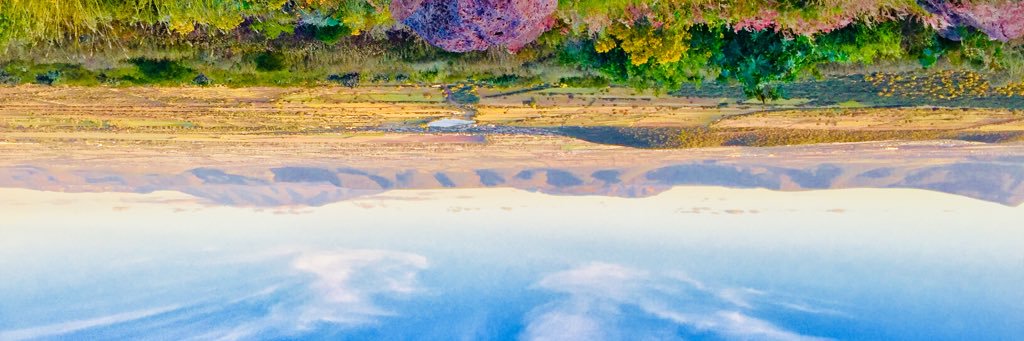 ivanms93's profile banner image