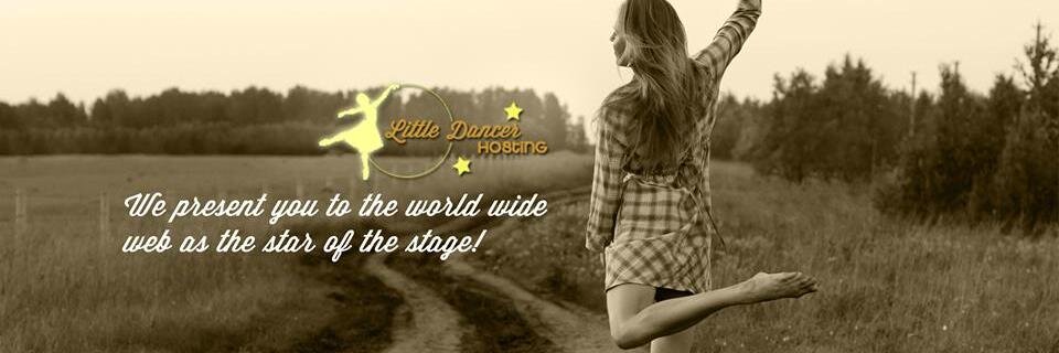 LittleDancerH's profile banner image