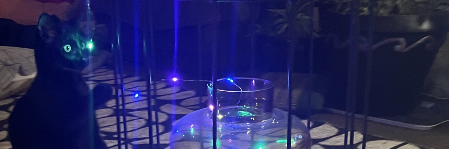 Polly Puss banner