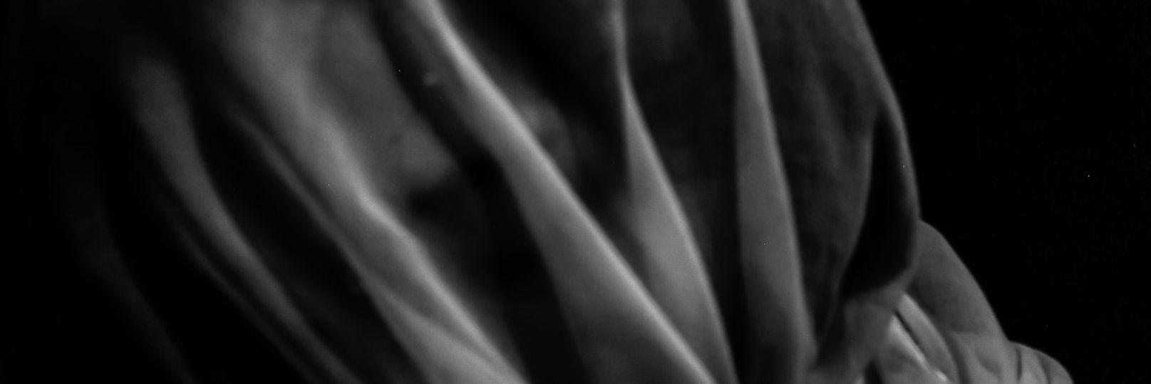 elleina__d's profile banner image