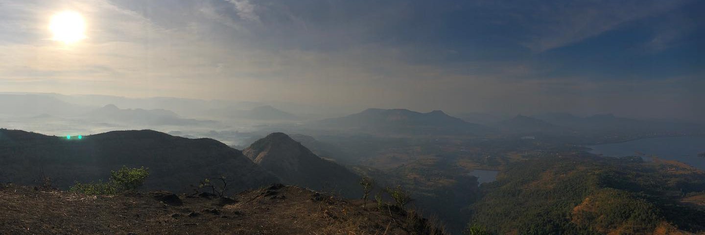 Janhavee Moole banner