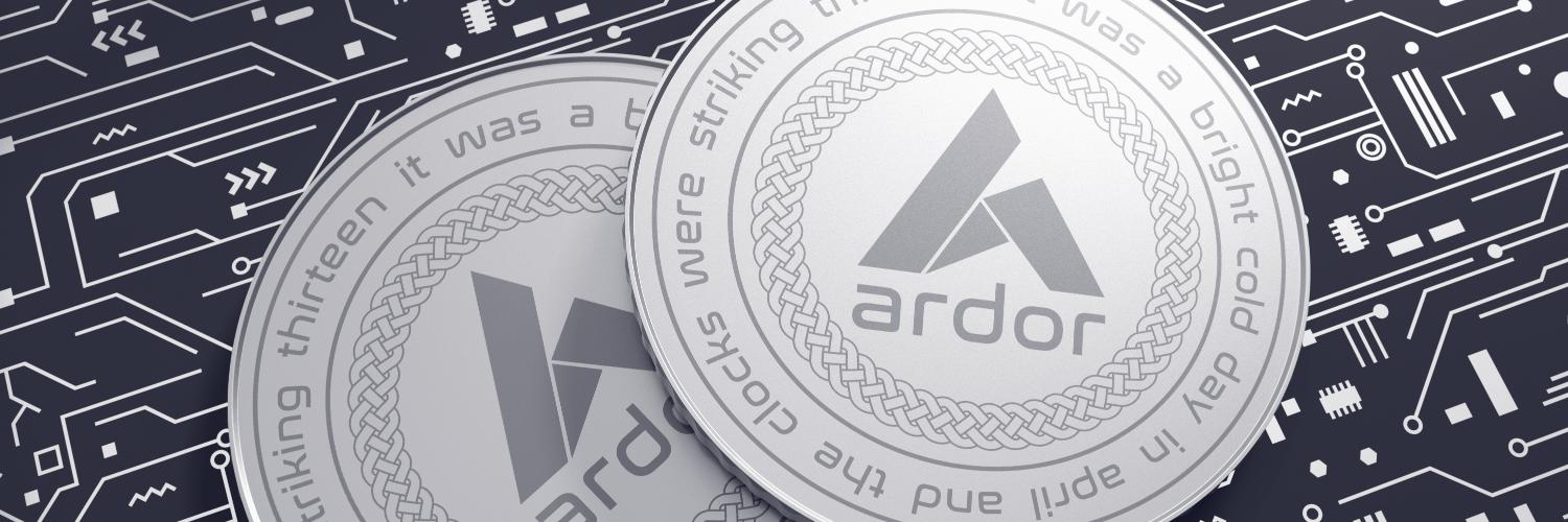 Rafael Fernandes banner