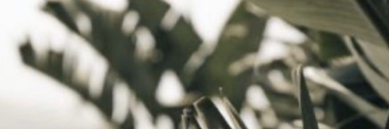 DNOSH_8's profile banner image
