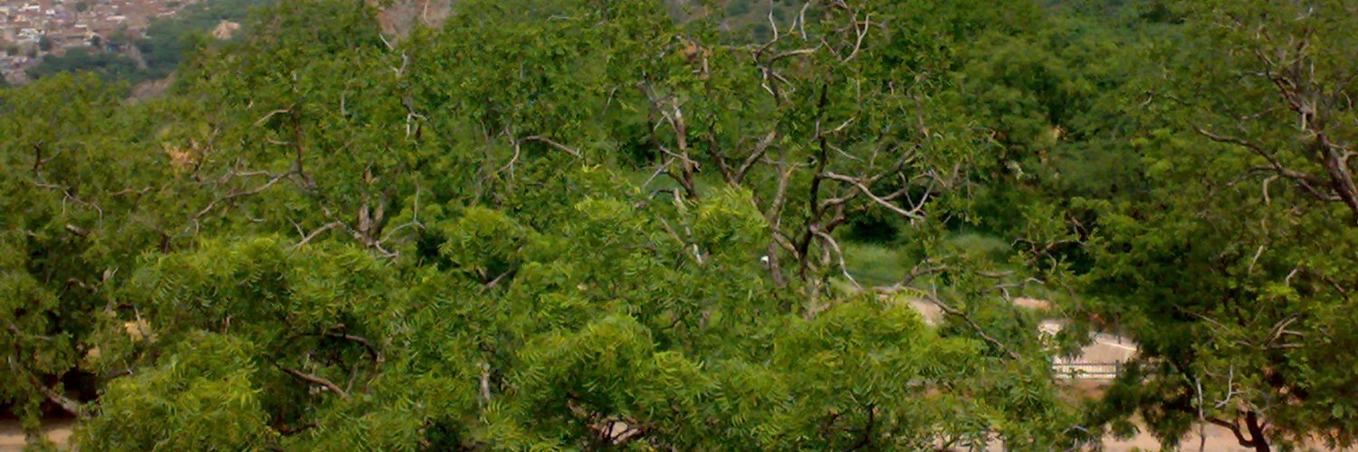 kittusehra55's profile banner image