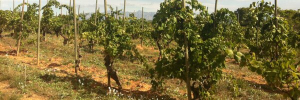 diegosumiller Profile Banner