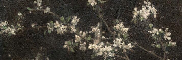 TheOnly_JAS24's profile banner image