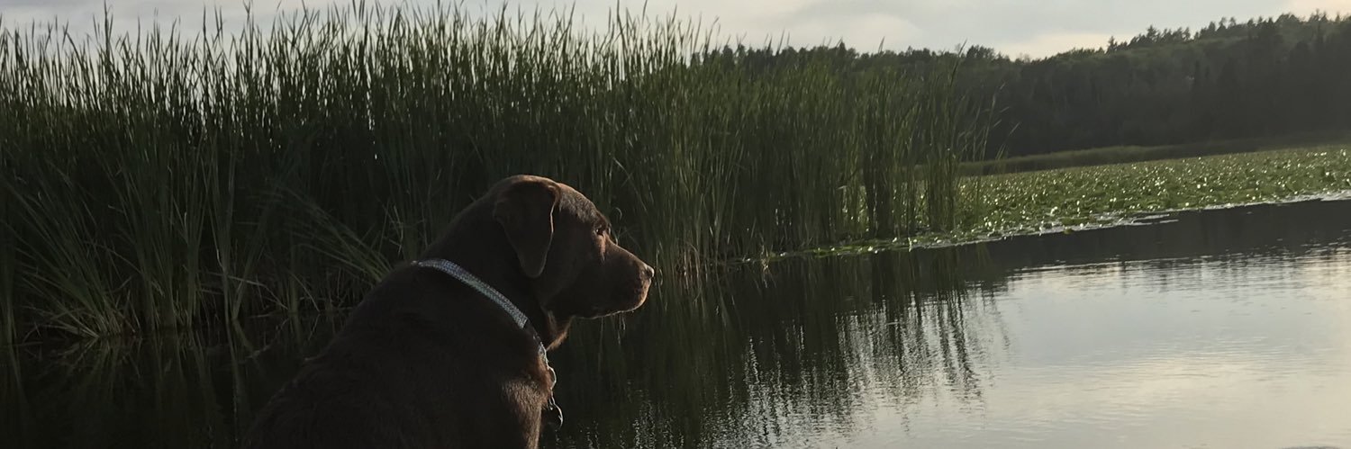 Resheske's profile banner image