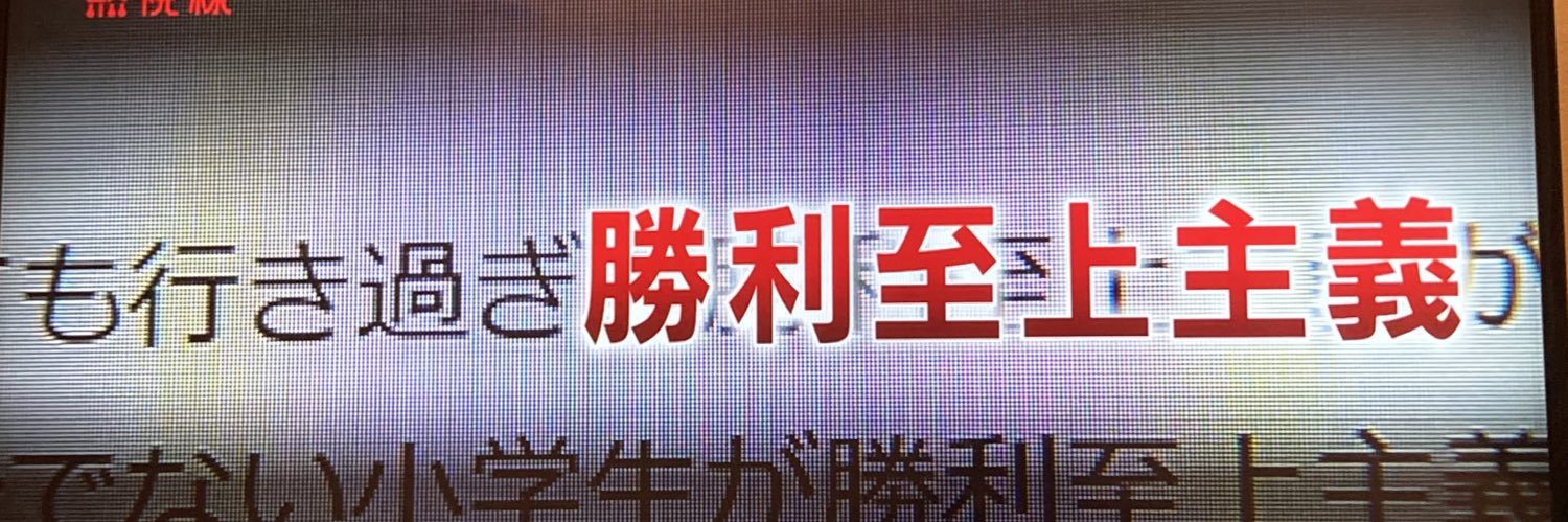 マドさん banner