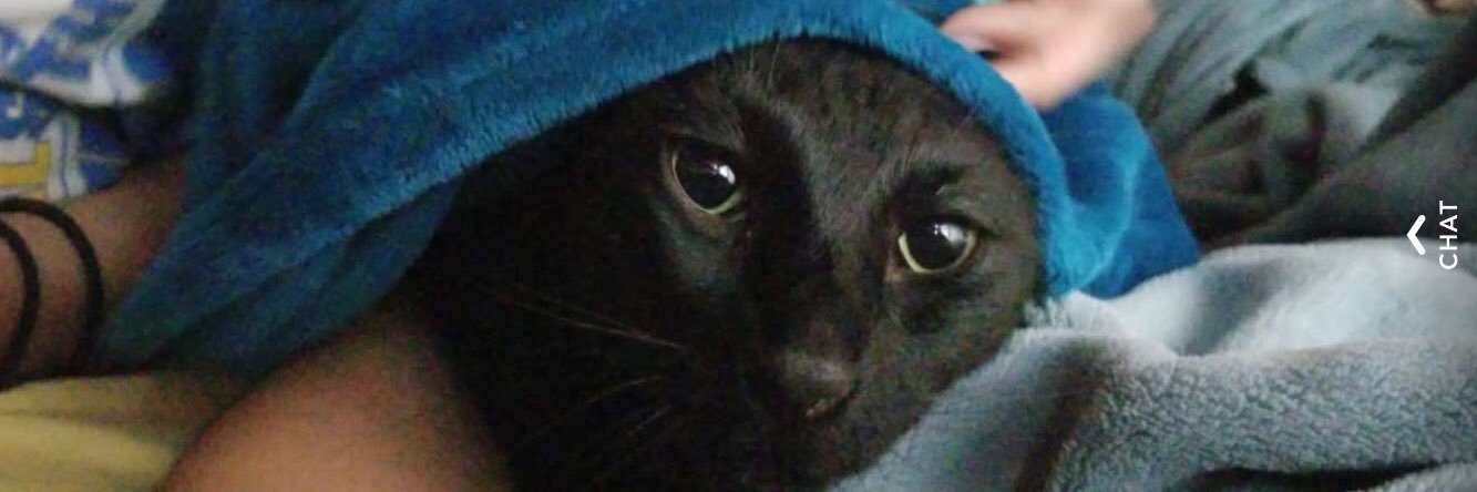 ScarCastaneda00's profile banner image