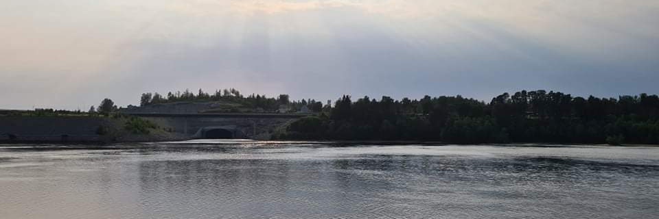 Bella Holm banner