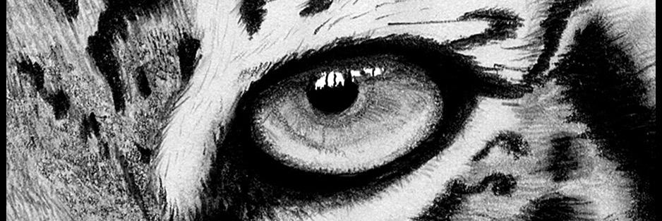 Devdude24's profile banner image