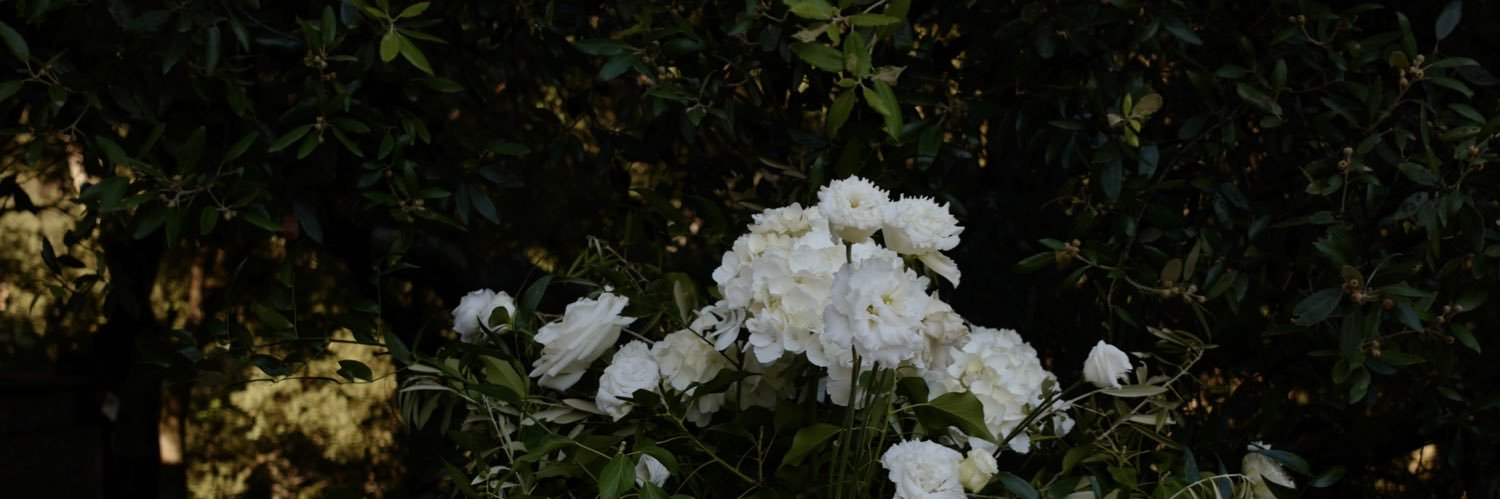 btothe_'s profile banner image