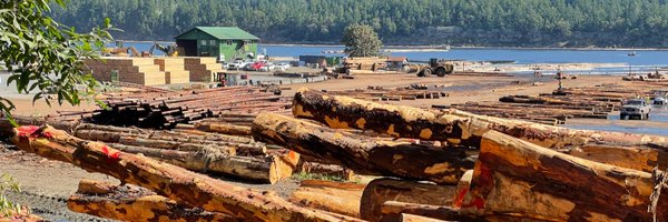 TreeFrogNews Profile Banner