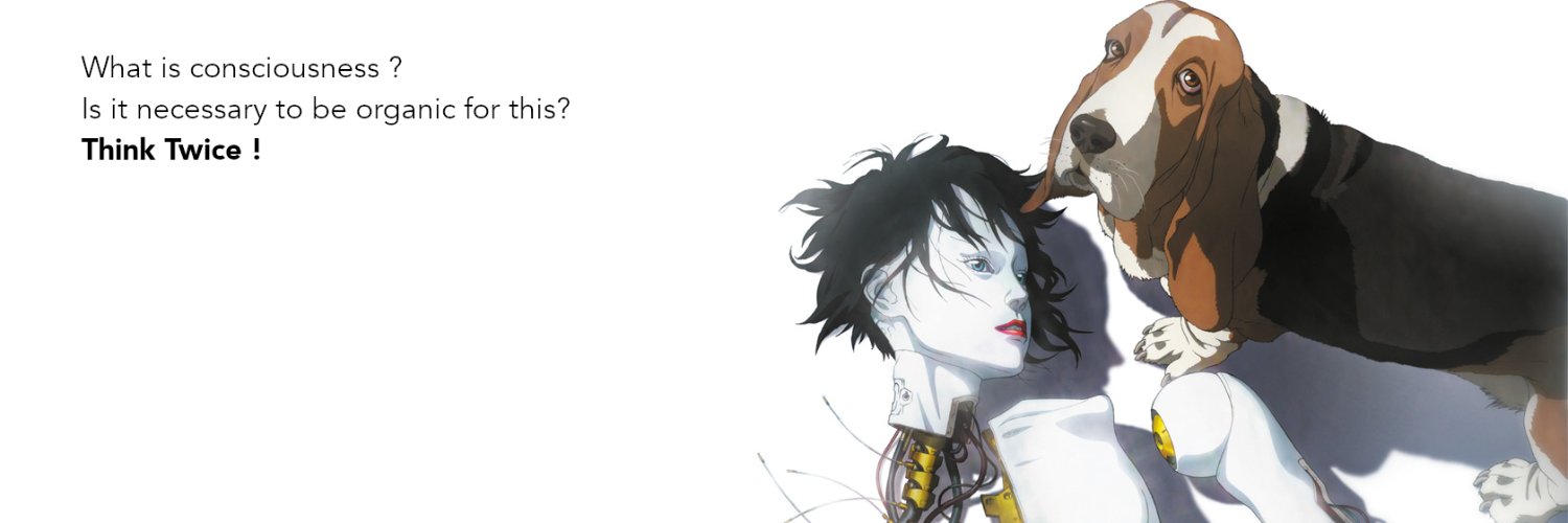 Tolga Bayazitoglu banner