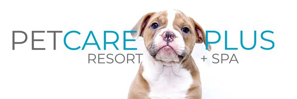 petcareplus Profile Banner