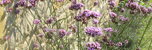 UpperSlaughter Profile Banner